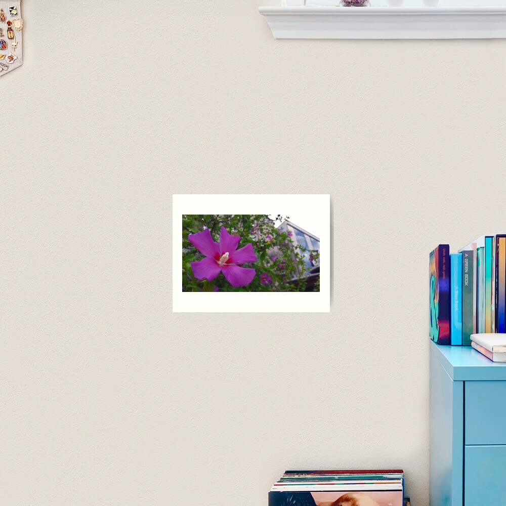 Purple Hibiscus Art Print