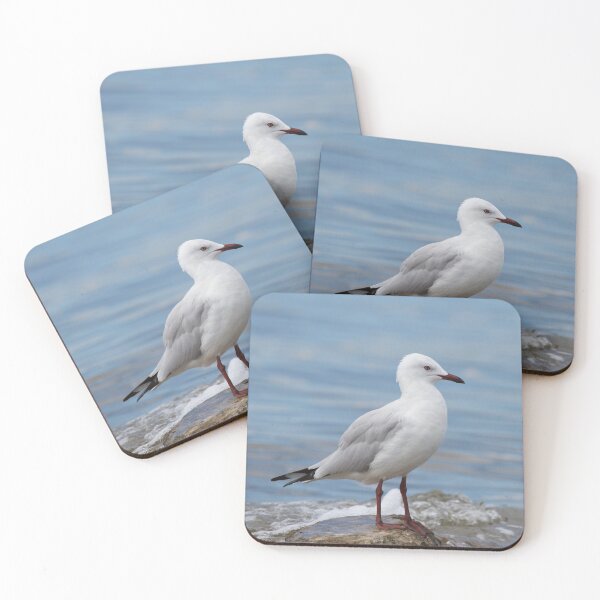 Item preview, Siver gull designed and sold by MargsNaturePix.