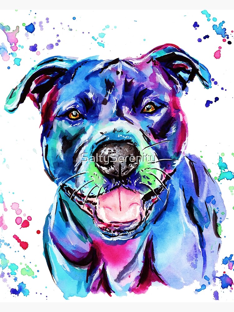 Staffy art 2024