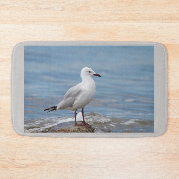 Item preview, Siver gull designed and sold by MargsNaturePix.