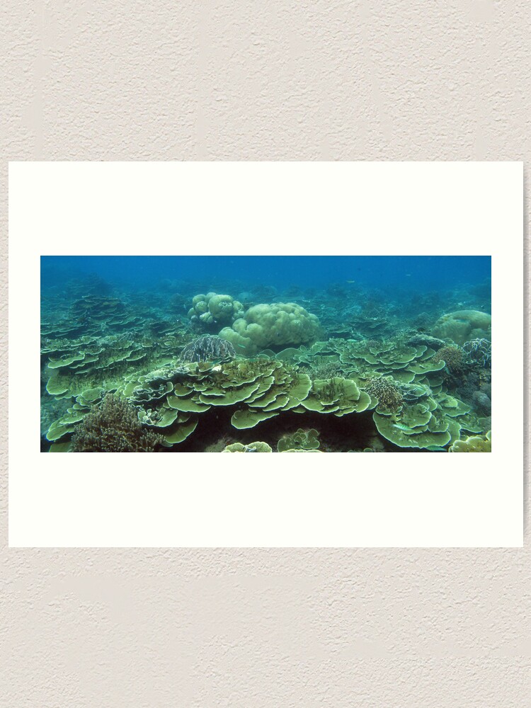 Alternate view of Reef at Pulau Pisang Art Print