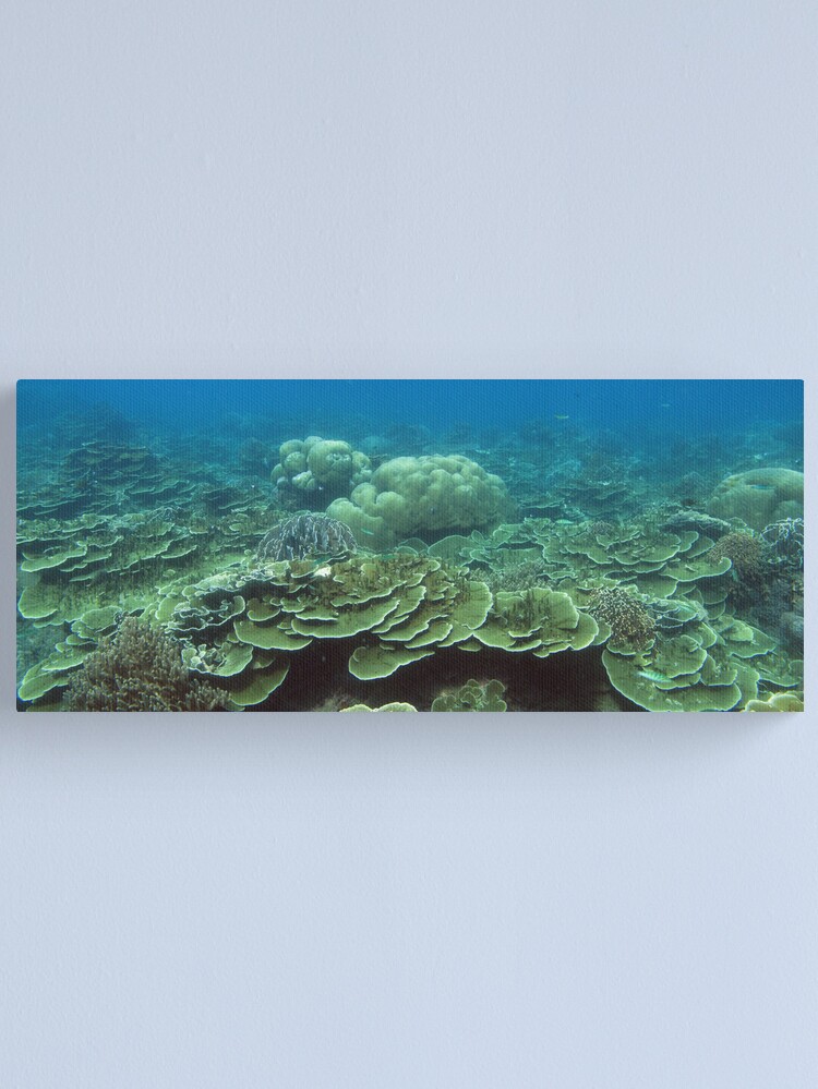 Alternate view of Reef at Pulau Pisang Canvas Print