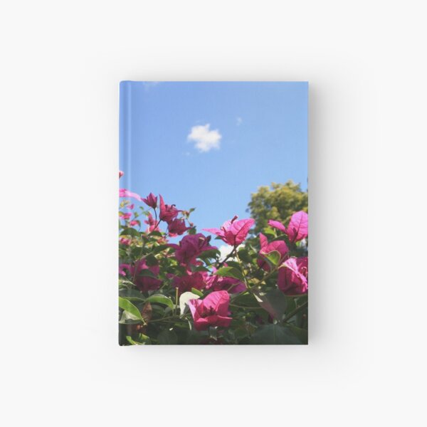 Aperçu de l'œuvre Fleurs roses, ciel bleu 2 créée et vendue par Capturing Life.