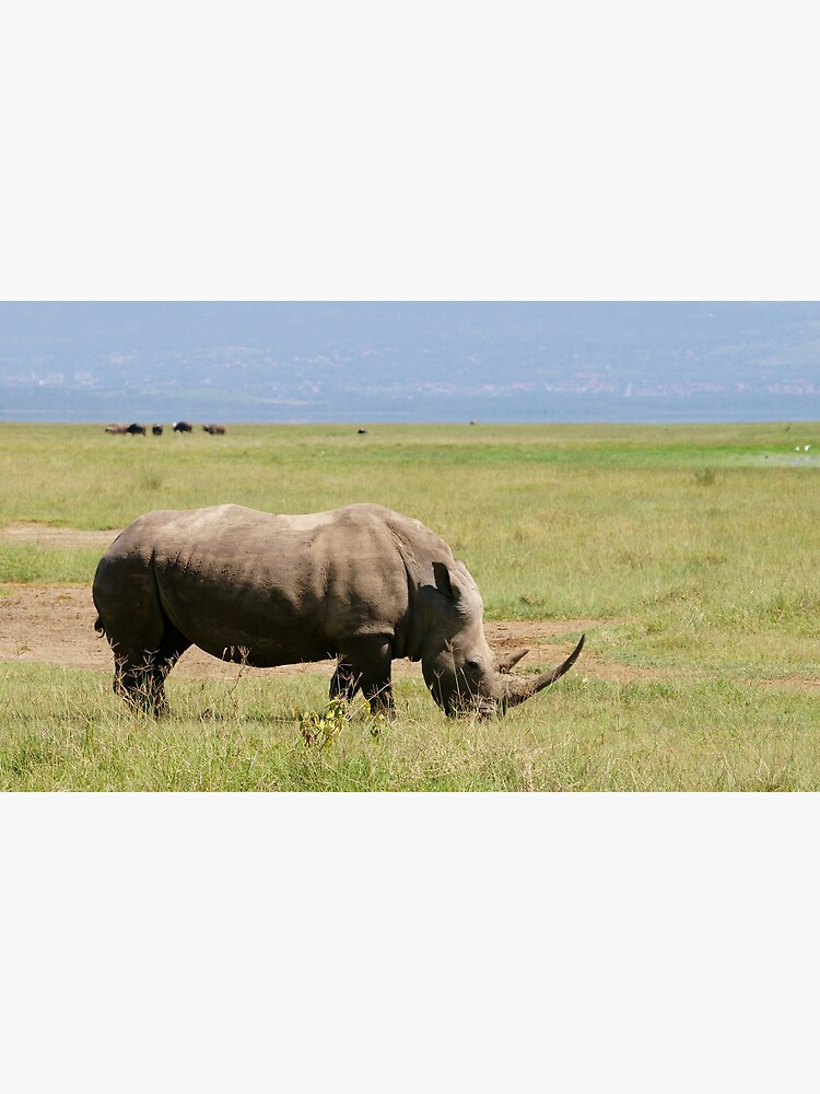 White Rhinoceros by rogersmith