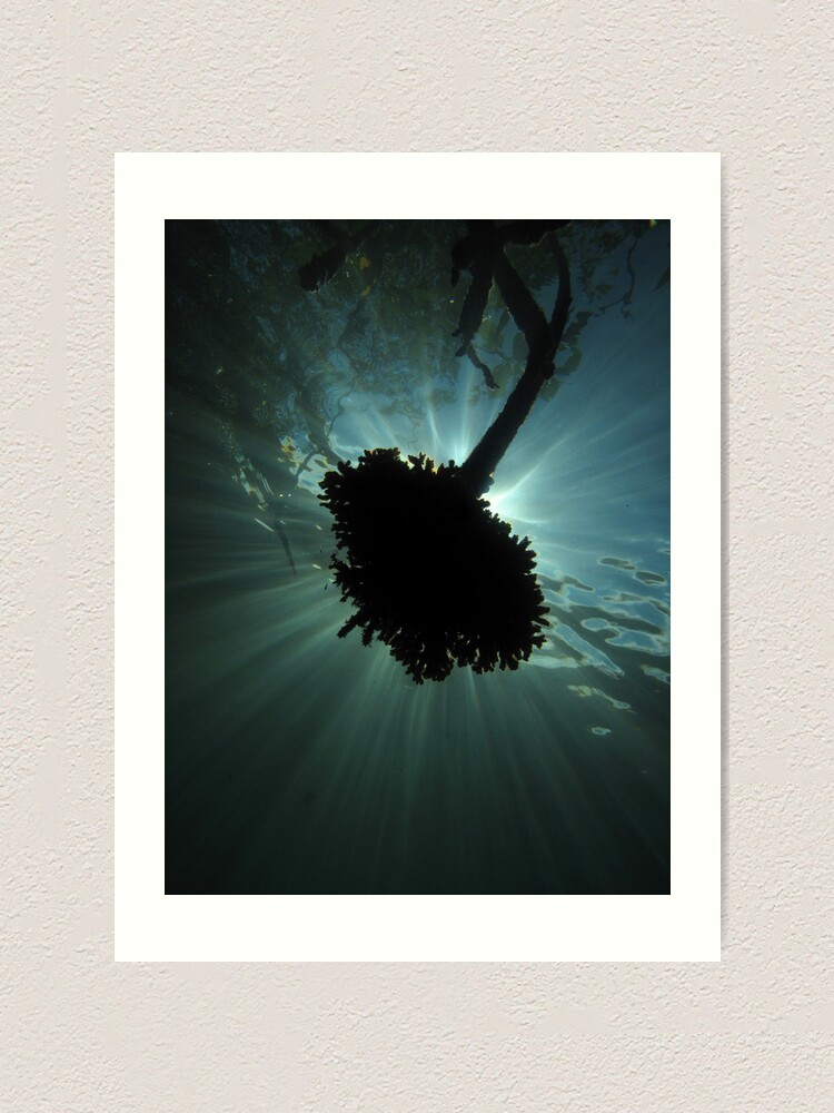Alternate view of Mangrove Coral Halo Art Print