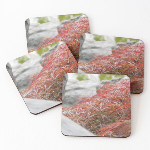 Item preview, Colors in the Chinese Garden, Stuttgart designed and sold by georgebarnard.