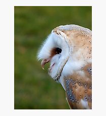 Casper Photographic Print