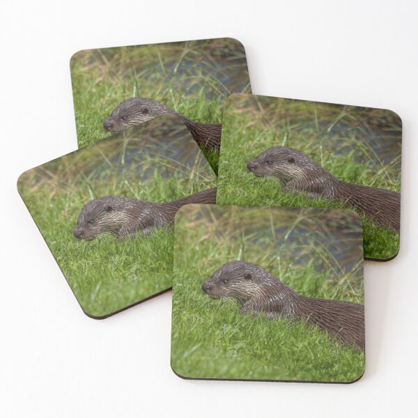 Item preview, British Otter designed and sold by dawnrosie.