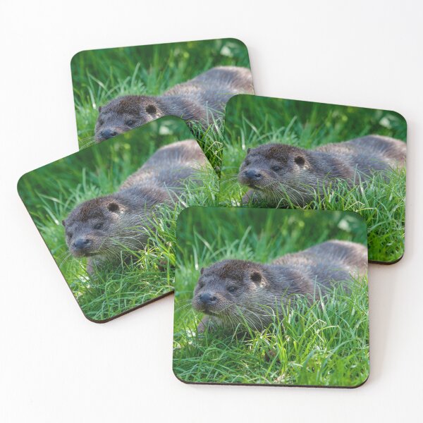 Item preview, British Otter designed and sold by dawnrosie.