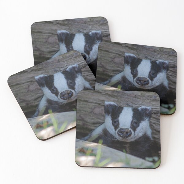Item preview, British Badger Cub designed and sold by dawnrosie.
