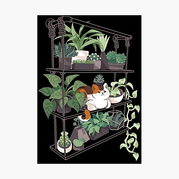 Item preview, Cat on a shelf designed and sold by Anushbanush.