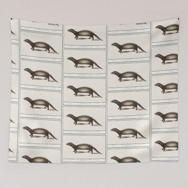Artikelvorschau, Ferret drawing vintage illustration entworfen und verkauft von Vintage Designs +.