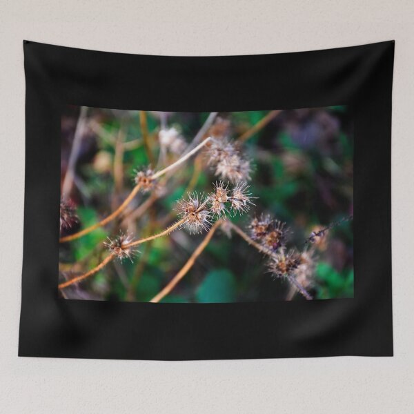 Item preview, Meadow 2 | Nature Photography designed and sold by Mii-pics.