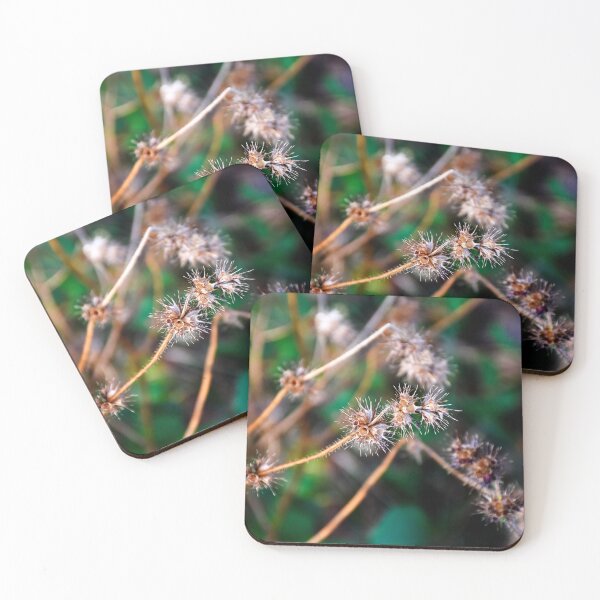Item preview, Meadow 2 | Nature Photography designed and sold by Mii-pics.