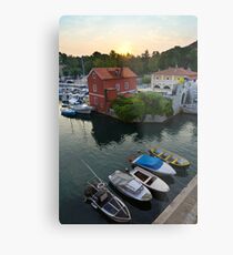 Fosa Metal Print