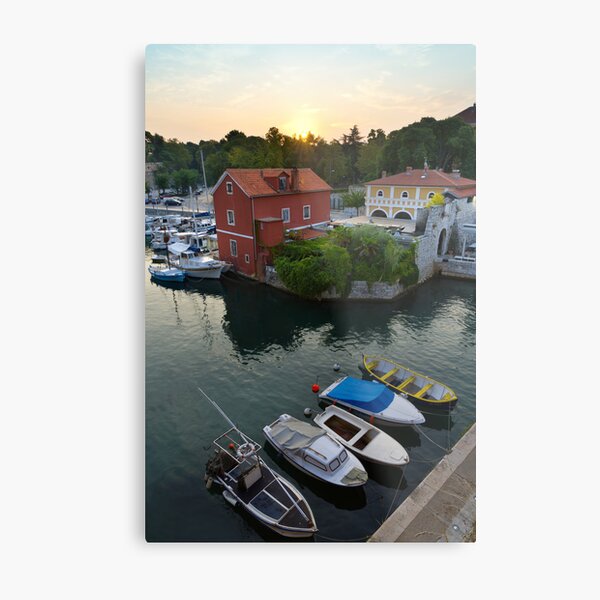 Fosa Metal Print