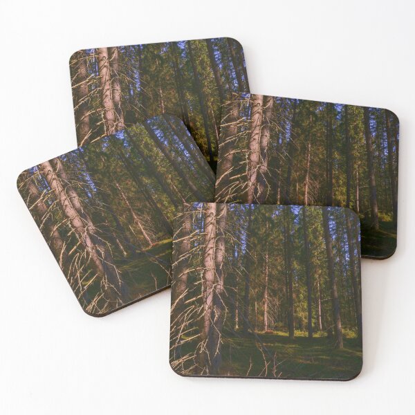 Item preview, Spruce tree in dry branches designed and sold by yarvin13.