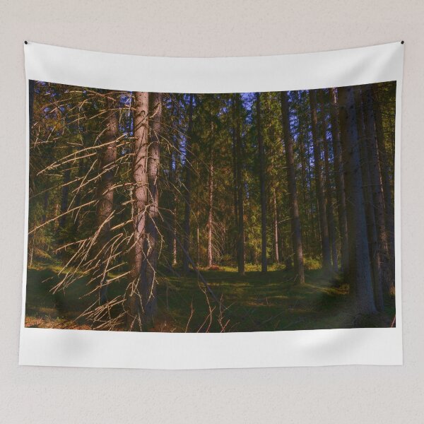 Item preview, Spruce tree in dry branches designed and sold by yarvin13.