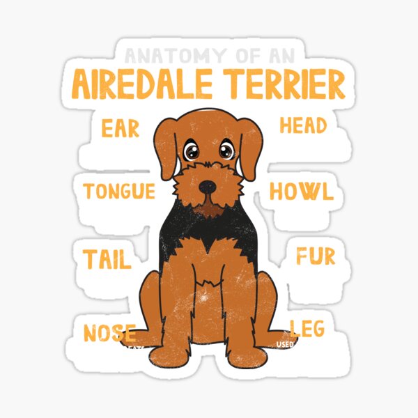 Anatomy of Airdale Terrier Dog Sticker