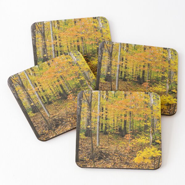 Item preview, Bruce Trail  Autumn  Wide designed and sold by SRosuphotos.