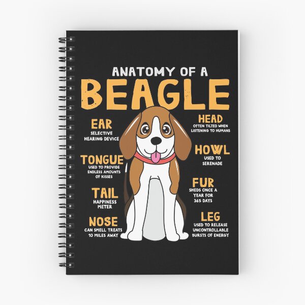 Item preview, Anatomy of Beagle Dog designed and sold by rafaeltto.