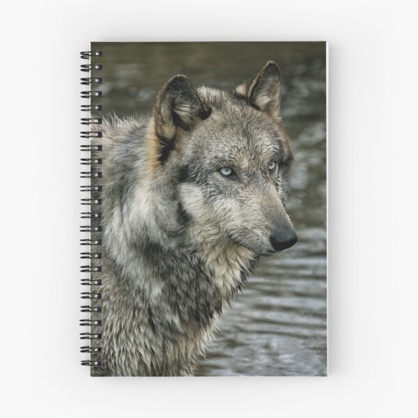 Item preview, wolf portrait  designed and sold by yair  leibovich.