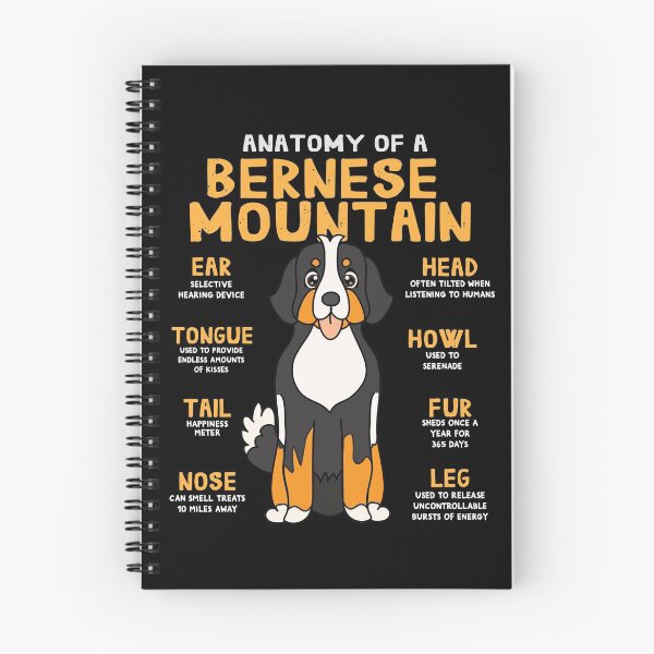 Item preview, Anatomy of Bernese Mountain Dog designed and sold by rafaeltto.