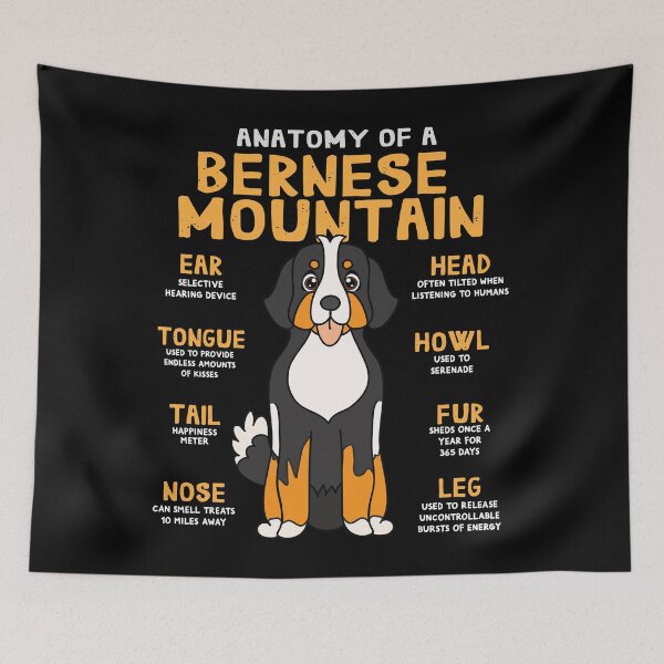 Item preview, Anatomy of Bernese Mountain Dog designed and sold by rafaeltto.