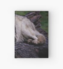 A wolf on a wet log Hardcover Journal