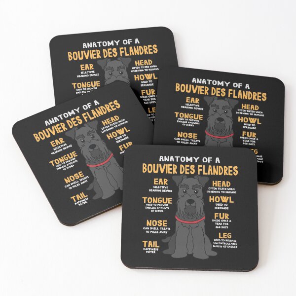 Item preview, Anatomy of Bouvier Des Flandres Dog designed and sold by rafaeltto.