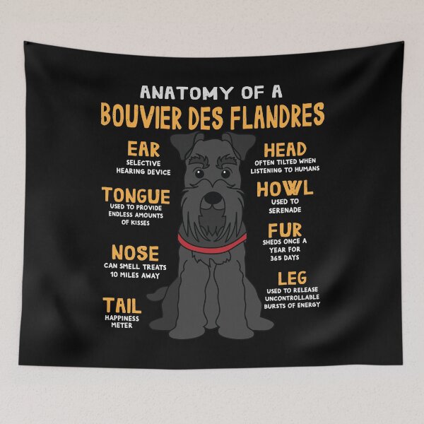 Item preview, Anatomy of Bouvier Des Flandres Dog designed and sold by rafaeltto.