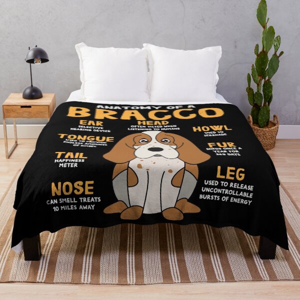 Item preview, Anatomy of Bracco Dog designed and sold by rafaeltto.