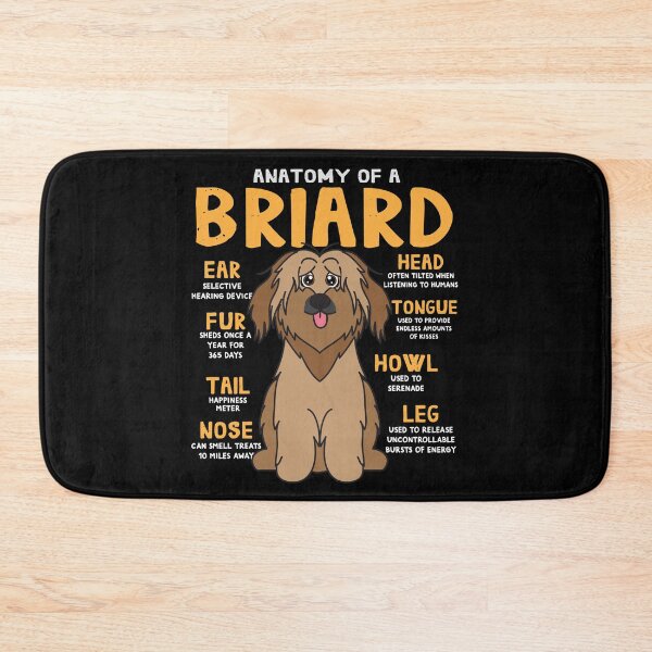Item preview, Anatomy of Briard Dog designed and sold by rafaeltto.