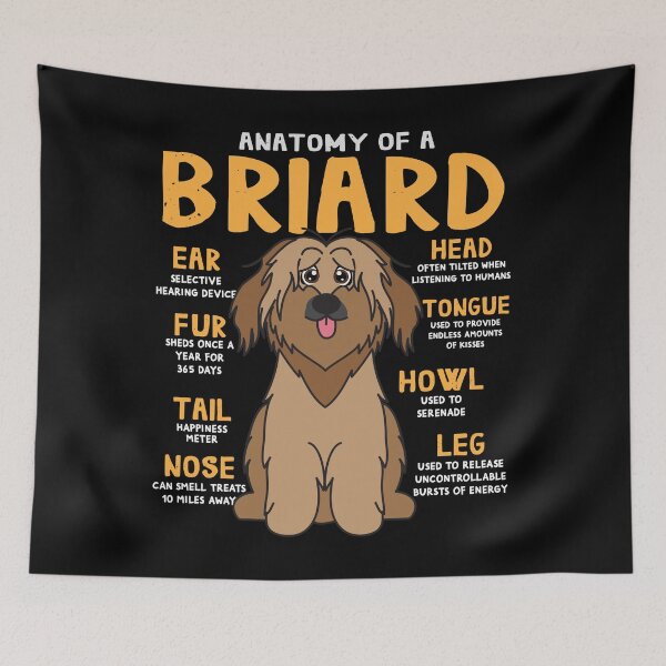 Item preview, Anatomy of Briard Dog designed and sold by rafaeltto.