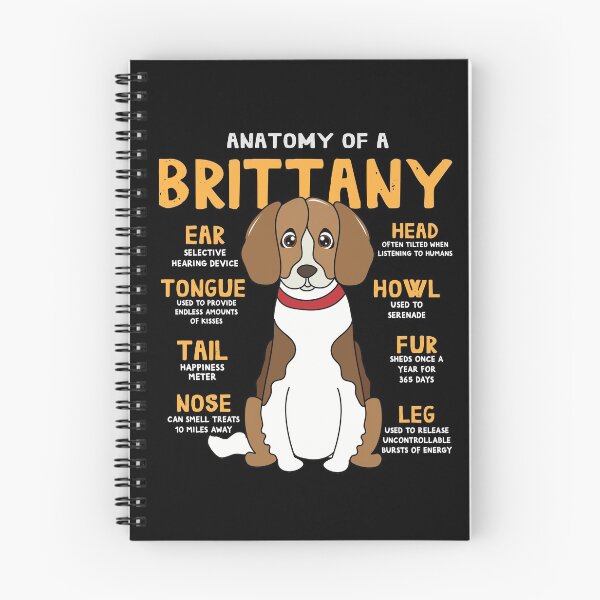 Item preview, Anatomy of Brittany Dog designed and sold by rafaeltto.