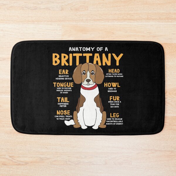 Item preview, Anatomy of Brittany Dog designed and sold by rafaeltto.
