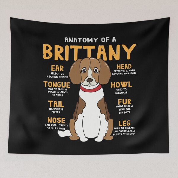 Item preview, Anatomy of Brittany Dog designed and sold by rafaeltto.