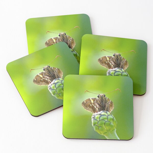 Item preview, Little Skipper Butterfly designed and sold by Frankie Cat Photography.