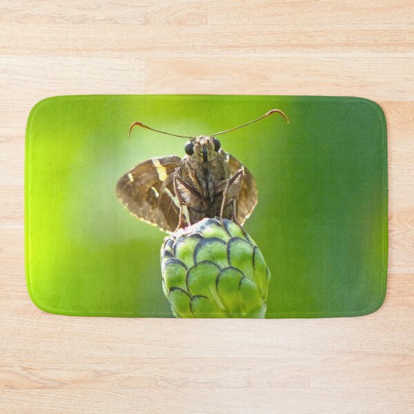 Item preview, Little Skipper Butterfly designed and sold by Frankie Cat Photography.