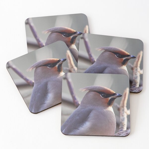 Item preview, Keeping the calm face. Portrait of the Bohemian waxwing designed and sold by Jouko Lehto Photography.