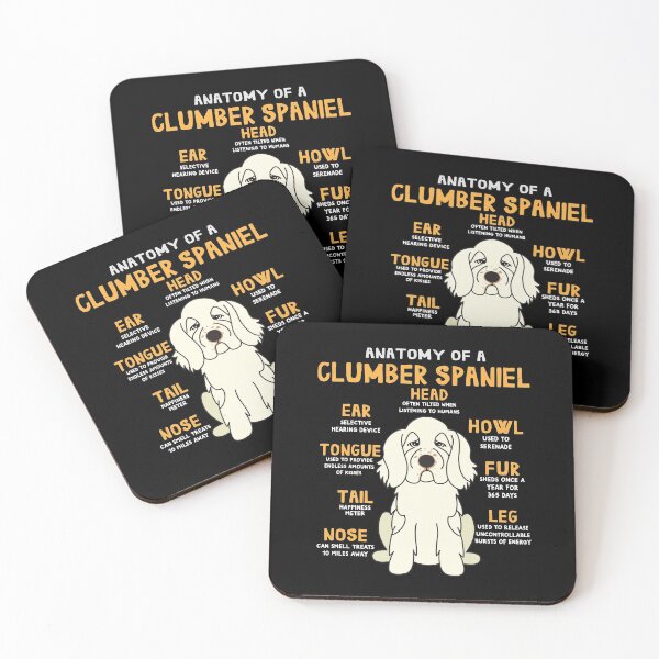 Item preview, Anatomy of Clumber Spaniel Dog designed and sold by rafaeltto.