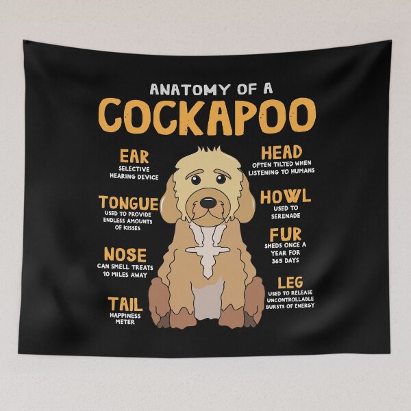 Item preview, Anatomy of Cockapoo Dog designed and sold by rafaeltto.