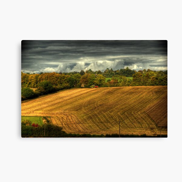 Last day of the harvest Canvas Print