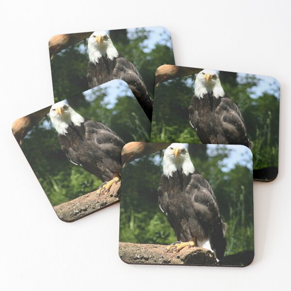 Artikelvorschau, Bald Eagle entworfen und verkauft von AnnDixon.