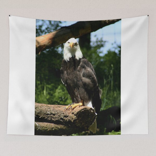 Item preview, Bald Eagle designed and sold by AnnDixon.