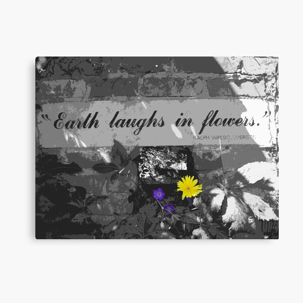 Earth Laughs In Flowers Lienzo