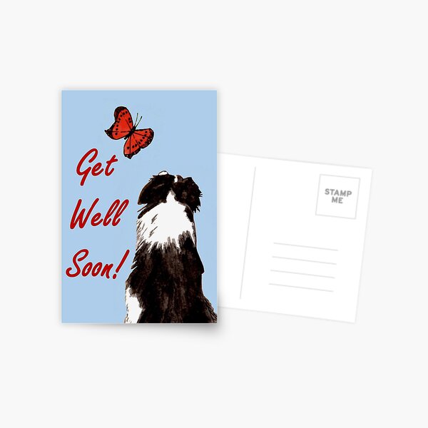 Friendly Fascination - Get Well Soon Card Postcard