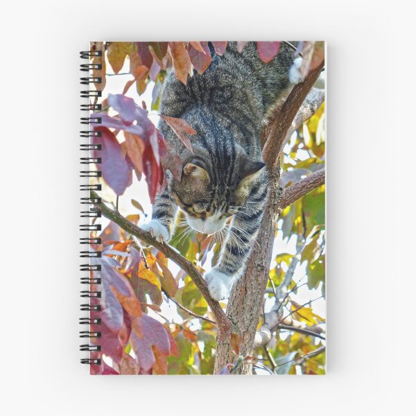 Item preview, Up the Sassafras Tree designed and sold by Frankie Cat Photography.