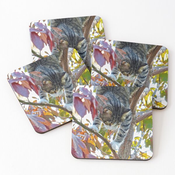 Item preview, Up the Sassafras Tree designed and sold by Frankie Cat Photography.