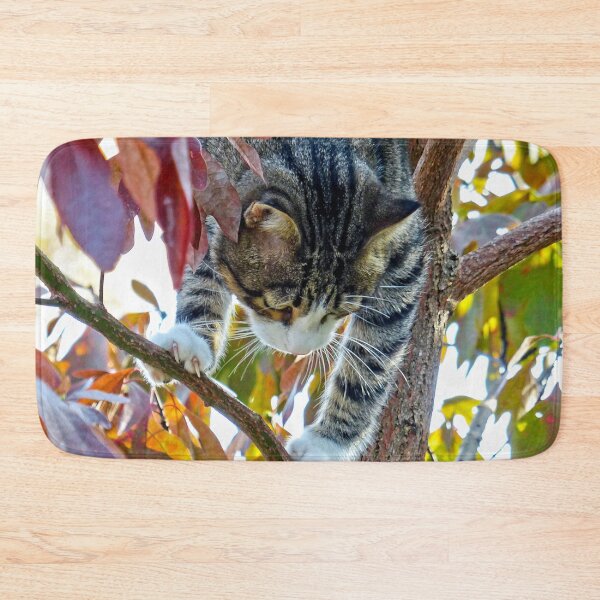 Item preview, Up the Sassafras Tree designed and sold by Frankie Cat Photography.